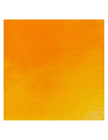 Acuarela W&N Professional 1/2 Godet Naranja Winsor
