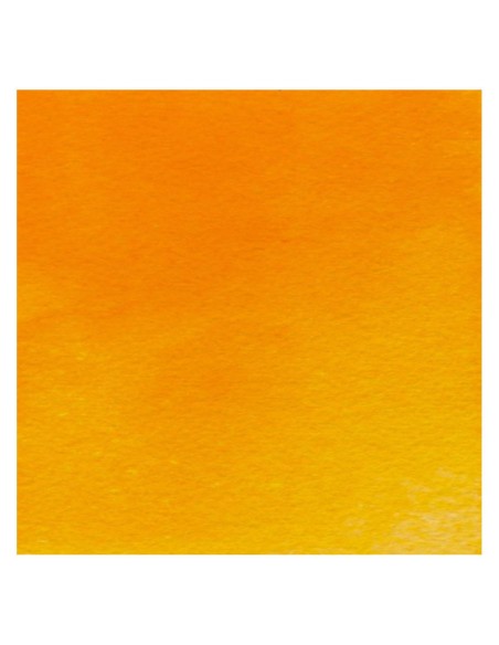 Acuarela W&N Professional 1/2 Godet Naranja Winsor