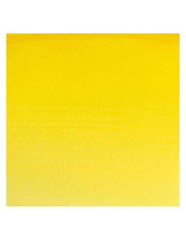 Acuarela W&N Professional 1/2 Godet Limón Winsor