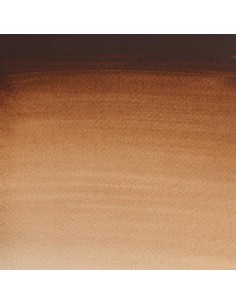 Acuarela W&N Professional 1/2 Godet Tierra Sombra Tostada 2