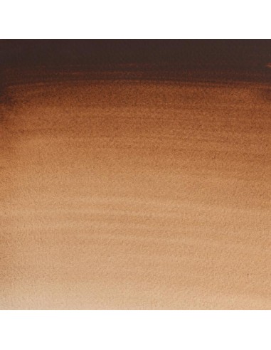 Acuarela W&N Professional 1/2 Godet Tierra...