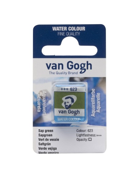 Acuarela Van Gogh 1/2 Godet Verde Vejiga Nº623 