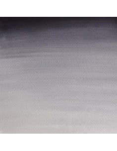 Acuarela W&N Professional 1/2 Godet Tinte Neutro 2