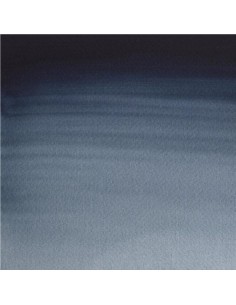 Acuarela W&N Professional 1/2 Godet Gris de Payne 2