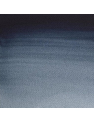 Acuarela W&N Professional 1/2 Godet Gris de Payne