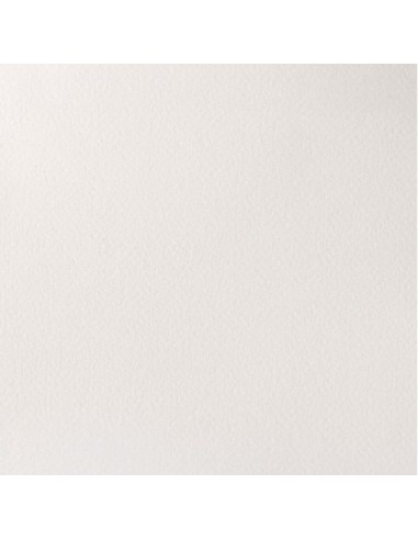 Acuarela W&N Professional 1/2 Godet Blanco de...