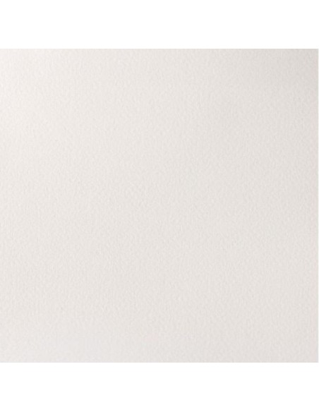 Acuarela W&N Professional 1/2 Godet Blanco de Titanio