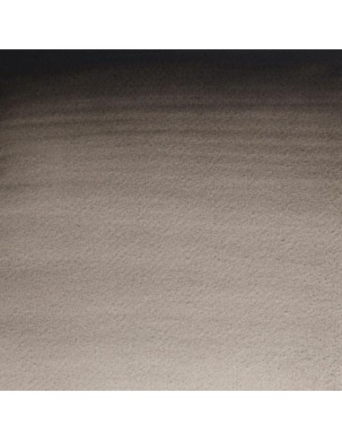 Acuarela W&N Professional 1/2 Godet Negro de...