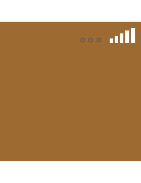 Spray Montana MTN 94 Marrón Chiapas 97