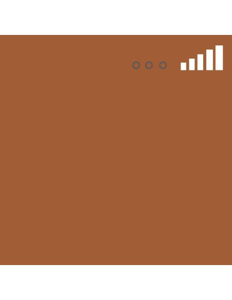 Spray Montana MTN 94 Marrón Frijol 98