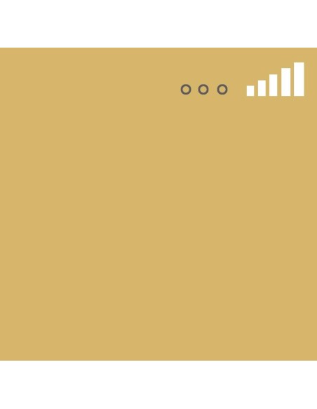 Spray Montana MTN 94 Marrón Inca 136