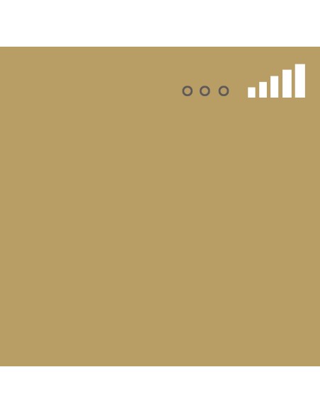 Spray Montana MTN 94 Kraft 137