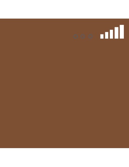 Spray Montana MTN 94 Marrón Glacé 99