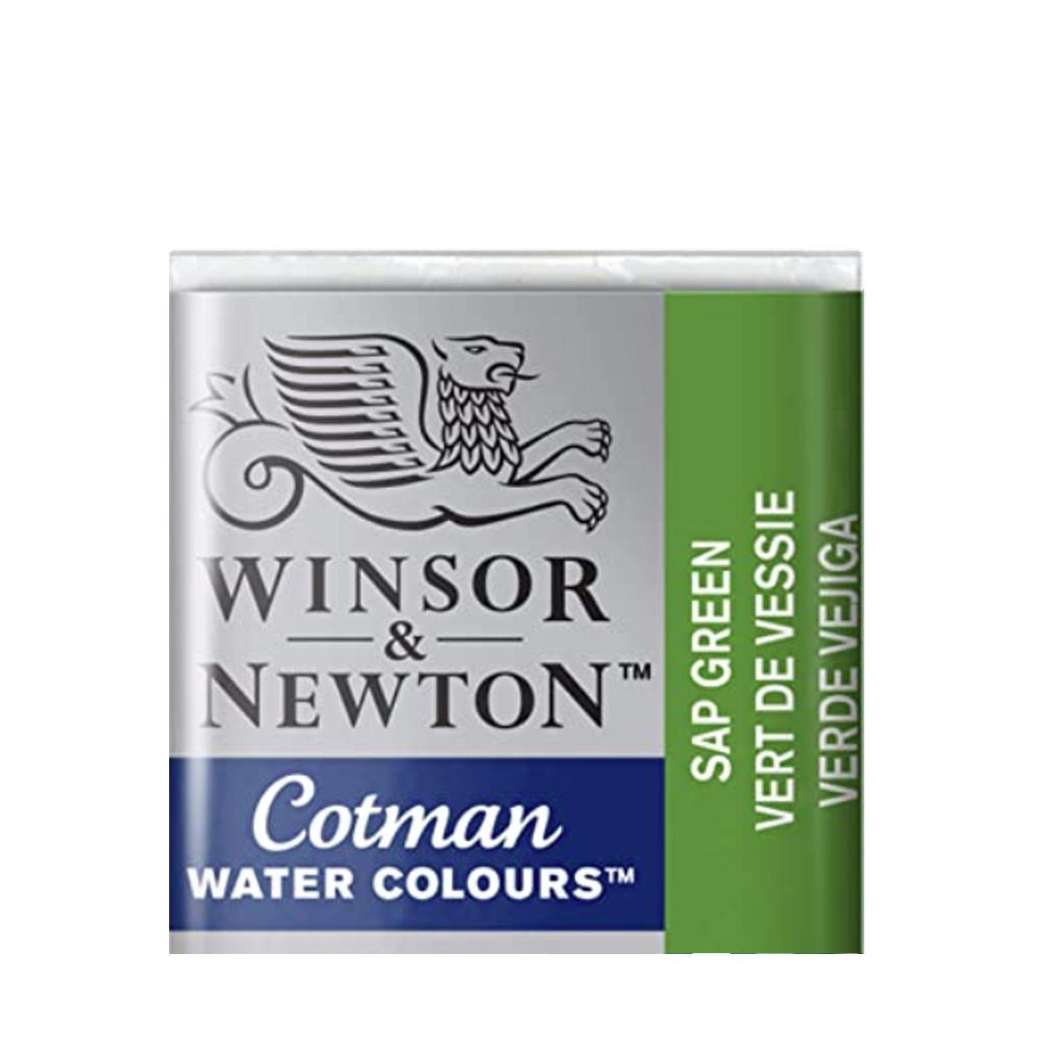 Acuarela wn cotman 1-2 godet verde vejiga