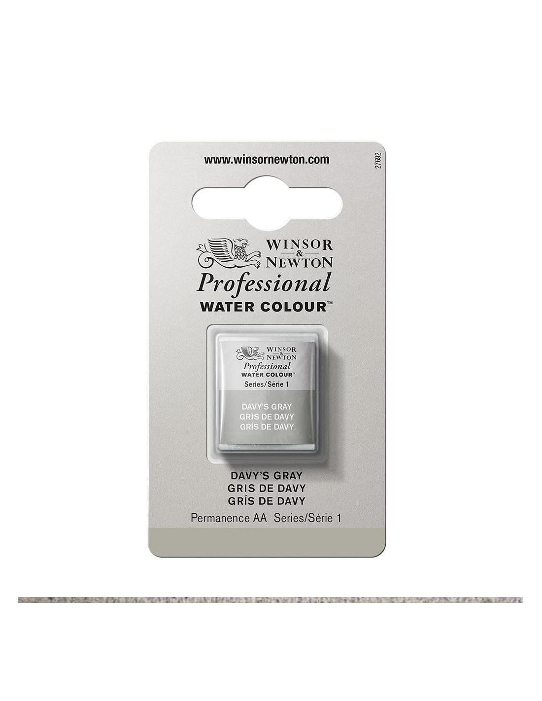 Acuarela wn professional 1-2 godet gris de davy