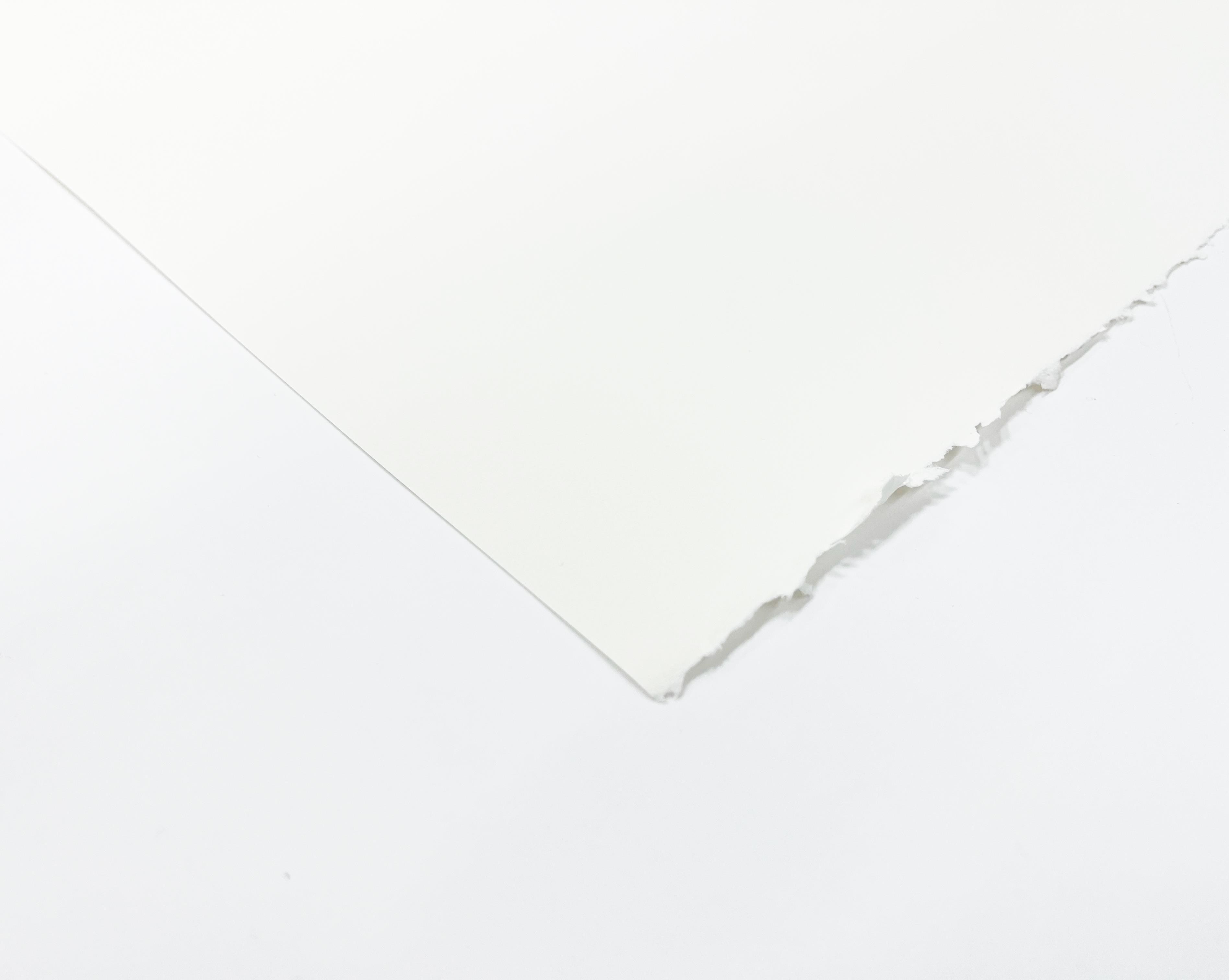 Papel grabado canson edition 56x76 cm 250 gr